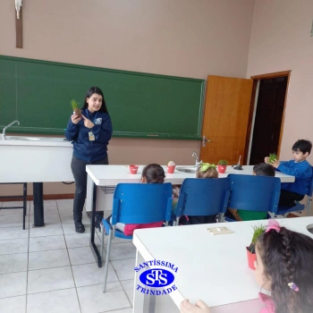 Alunos estudam processo de germinação de forma prática e lúdica