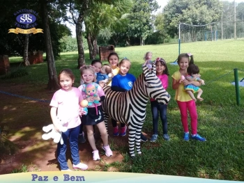 1º ano - Parque Franciscano STS