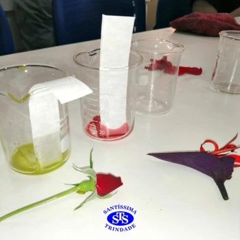 1ª série EM | Experimento no Laboratório de Ciências