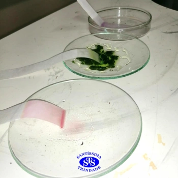 1ª série EM | Experimento no Laboratório de Ciências