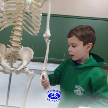 Alunos realizam atividades práticas sobre o corpo humano | 2º ano 