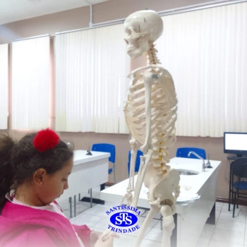 Alunos realizam atividades práticas sobre o corpo humano | 2º ano 