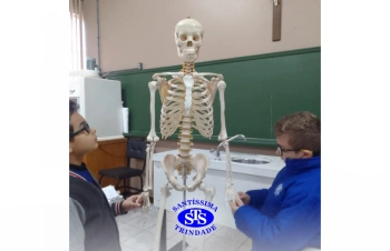 Alunos realizam atividades práticas sobre o corpo humano | 2º ano