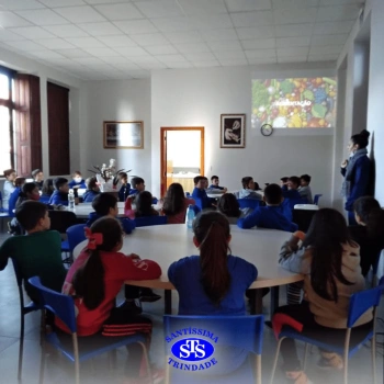 3º ano | Aula sobre alimentos