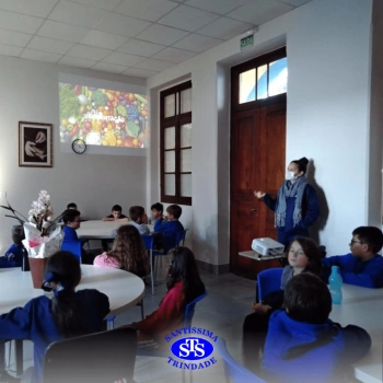 3º ano | Aula sobre alimentos