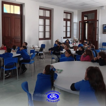 3º ano | Aula sobre alimentos