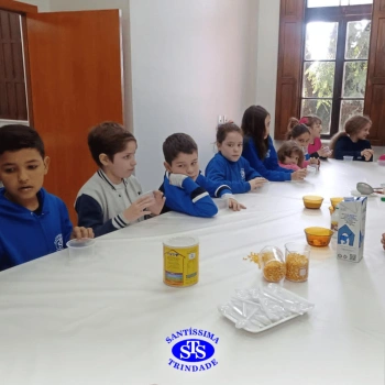 3º ano | Aula sobre alimentos