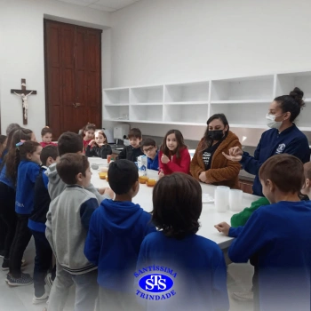 3º ano | Aula sobre alimentos