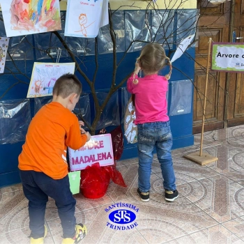 Alunos constroem Árvore das Vivências com memórias | Infantil 3