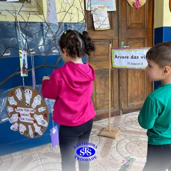 Alunos constroem Árvore das Vivências com memórias | Infantil 3