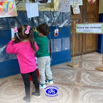 Alunos constroem Árvore das Vivências com memórias | Infantil 3