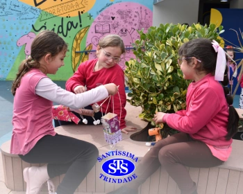 2º ano faz marionetes com materiais reciclados