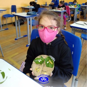 3º ano | A Primavera da Lagarta