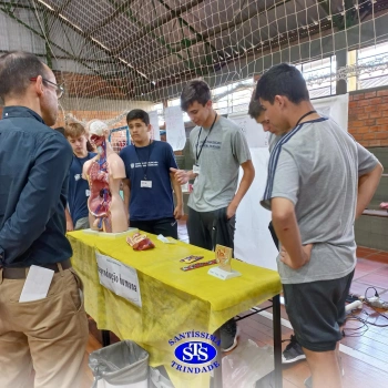 8º ano | Feira de Ciências