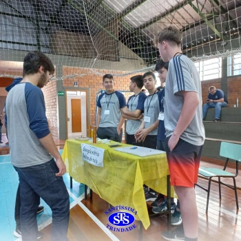 8º ano | Feira de Ciências