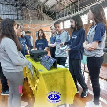 8º ano | Feira de Ciências
