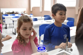 Estudo dos equinodermos estimula a criatividade e a observação | 2º ano