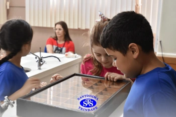 Estudo dos equinodermos estimula a criatividade e a observação | 2º ano
