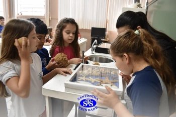 Estudo dos animais marinhos estimula a curiosidade e a observação | 2º ano
