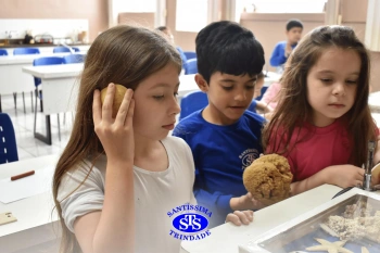 Estudo dos equinodermos estimula a criatividade e a observação | 2º ano