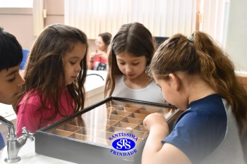 Estudo dos equinodermos estimula a criatividade e a observação | 2º ano