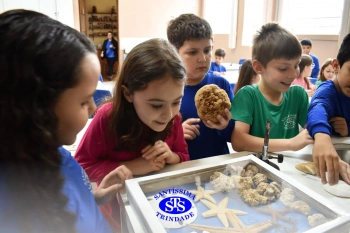 Estudo dos equinodermos estimula a criatividade e a observação | 2º ano