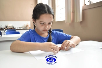 Estudo dos equinodermos estimula a criatividade e a observação | 2º ano