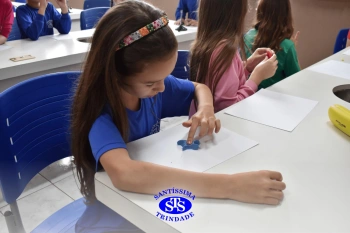 Estudo dos equinodermos estimula a criatividade e a observação | 2º ano