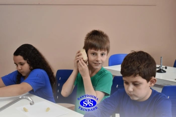 Estudo dos equinodermos estimula a criatividade e a observação | 2º ano