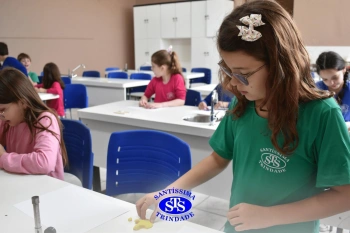 Estudo dos equinodermos estimula a criatividade e a observação | 2º ano