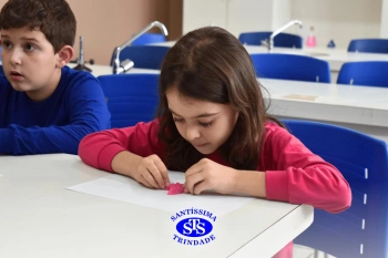 Estudo dos equinodermos estimula a criatividade e a observação | 2º ano