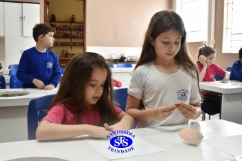 Estudo dos equinodermos estimula a criatividade e a observação | 2º ano