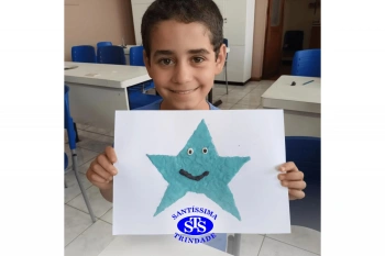 Estudo dos equinodermos estimula a criatividade e a observação | 2º ano