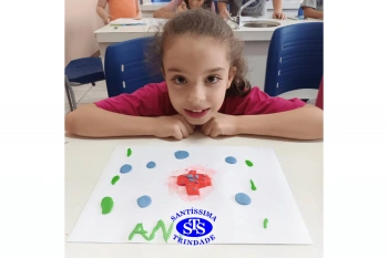 Estudo dos equinodermos estimula a criatividade e a observação | 2º ano