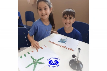 Estudo dos equinodermos estimula a criatividade e a observação | 2º ano