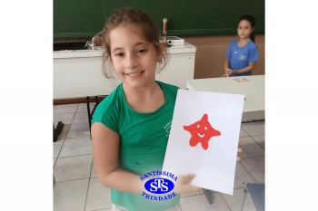 Estudo dos equinodermos estimula a criatividade e a observação | 2º ano