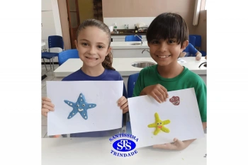 Estudo dos equinodermos estimula a criatividade e a observação | 2º ano