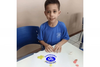 Estudo dos equinodermos estimula a criatividade e a observação | 2º ano