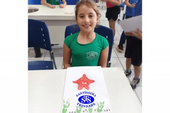 Estudo dos equinodermos estimula a criatividade e a observação | 2º ano