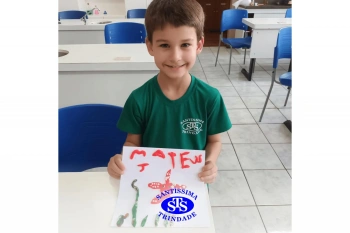 Estudo dos equinodermos estimula a criatividade e a observação | 2º ano