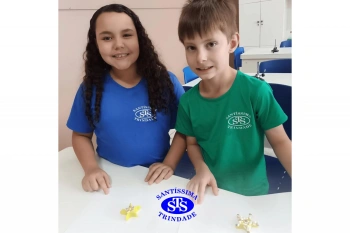 Estudo dos equinodermos estimula a criatividade e a observação | 2º ano