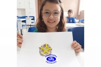 Estudo dos equinodermos estimula a criatividade e a observação | 2º ano