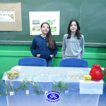 5º ano | Feira da Cultura Indígena 