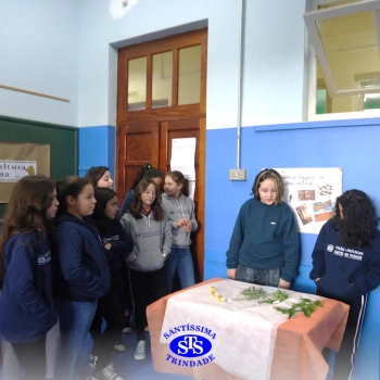 5º ano | Feira da Cultura Indígena 