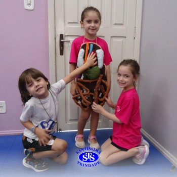 Infantil 5 estuda o corpo humano através do