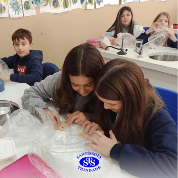 5º ano | Dentes para quê?