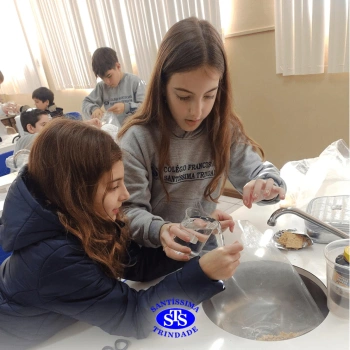 5º ano | Dentes para quê?