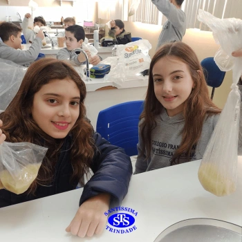 5º ano | Dentes para quê?
