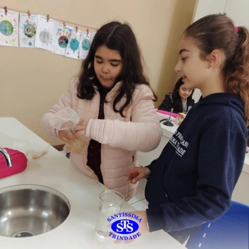 5º ano | Dentes para quê?