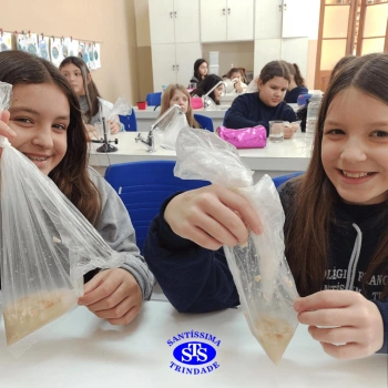 5º ano | Dentes para quê?